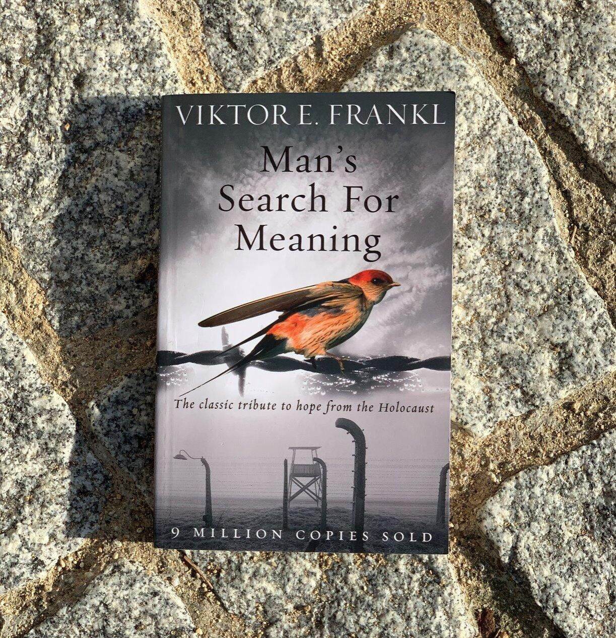 Cover of Man's Search for Meaning by Viktor Frankl - Yellow - Paperback by Viktor FrankL